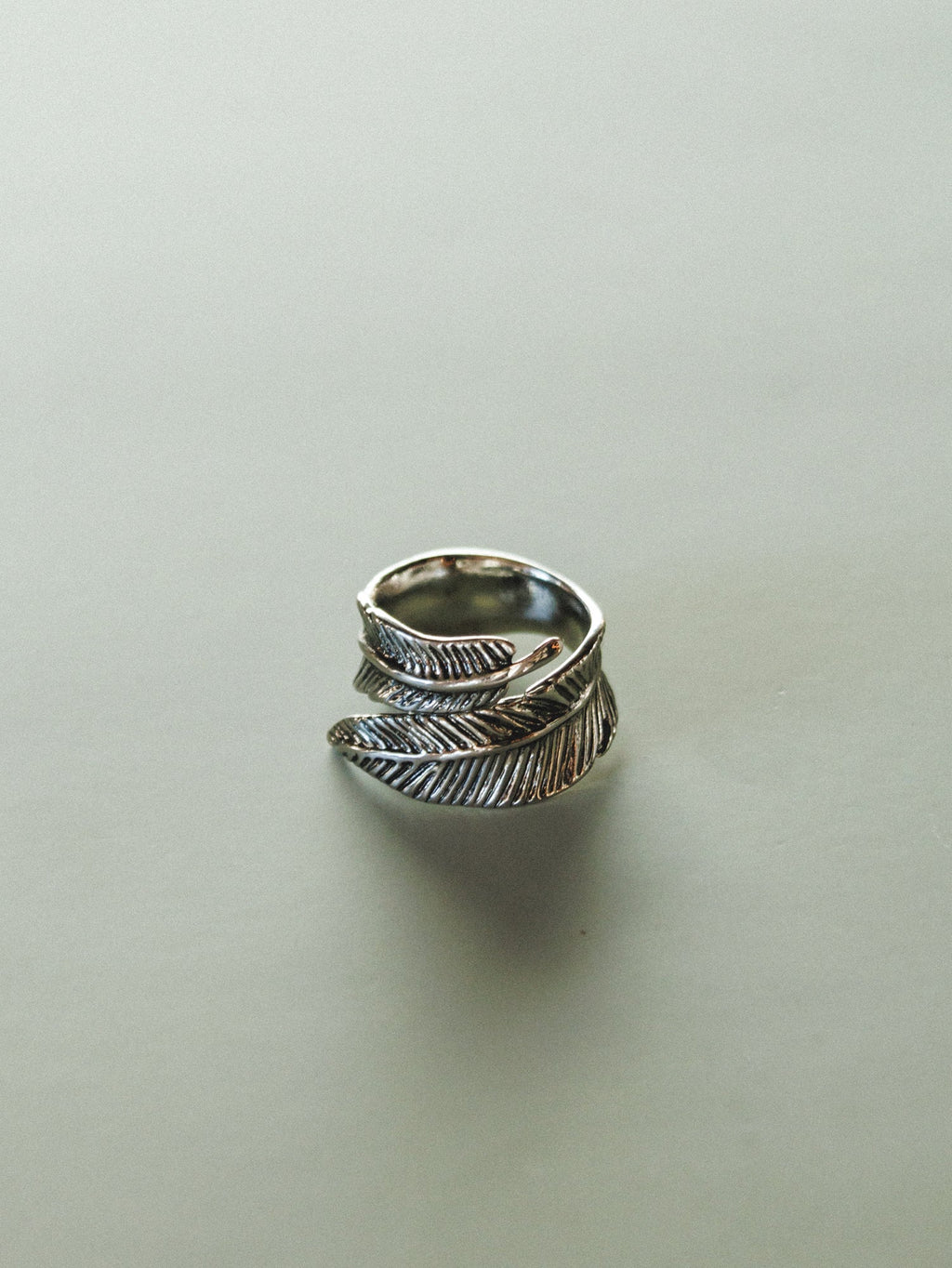 Crown Of Feathers Ring - Silver